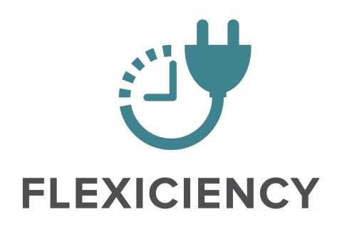 Flexiciency